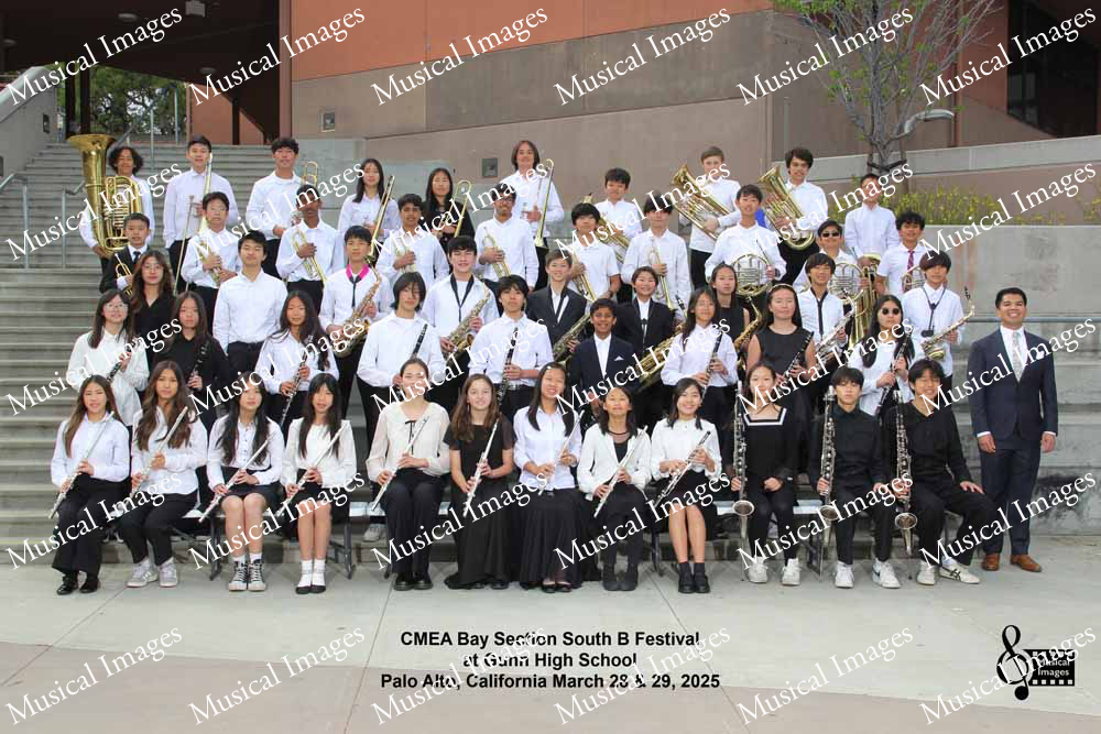 Musical Images